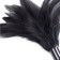 Ploma de ferro per fer cosquilles HORN TICK de 20 cm negra