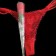 Tanga de puntes dins d'un botó de rosa - Una mida