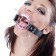 Spider Gag aus Metall und veganem Leder Fetish Fantasy mit einem Ring von 3,8 cm.