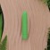 Mini-Bullet-Vibrator aus 100 % biologisch abbaubarem PLA, 9,5 x 1,8 cm Grün