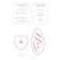 Vibrantes braguitas con control remoto inalámbrico DIVINE Rojo