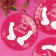 Assiettes en papier x 6 SUPER DICK FOREVER 18 cm Fuchsia