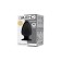 Plug Anale in Silicone MODEL 1 XS 8 x 4,5 cm Nero