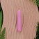 Mini vibrador bala em PLA 100% biodegradável 9,5 x 1,8 cm Rosa
